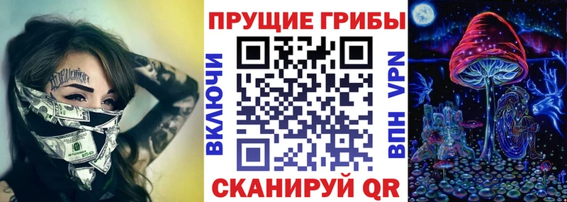 Псилоцибиновые грибы Psilocybe  KRAKEN онион  Ясный  где купить наркотик 